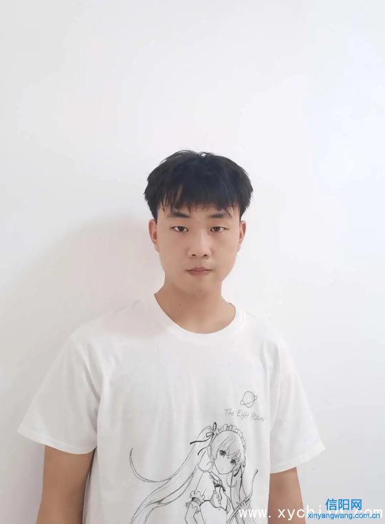 杨  成