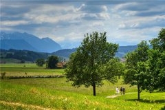 换大运前一年超级不顺