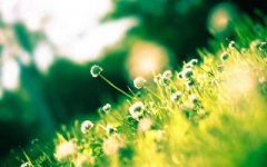 伤官是什么意思 伤官人的性格解读