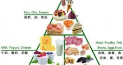 <b>人体需要哪些营养素？</b>