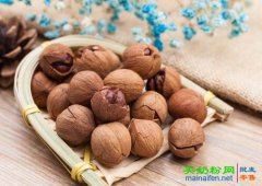 山核桃的功效与作用及食用方法