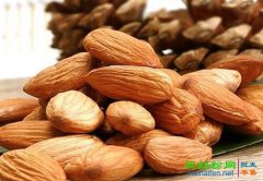 扁桃仁的功效与作用及食用方法