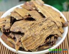 鳖甲的功效与作用