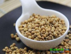 香菜子的功效与作用