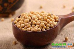 黄豆的功效与作用有哪些？