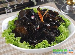 营养丰富的著名食用菌——木耳