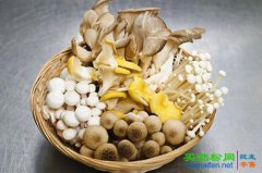 菌藻类食物不宜一次吃过多