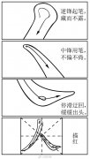 2021年新高考全国二卷作文题及范文_海南卷语文作文题评析
