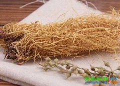 细辛的功效与作用——草根食物的功效