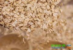 燕麦的功效——存在于5000年的食物