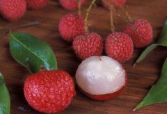 为什么不宜贪食荔枝？