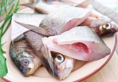 为什么不能贪食生鱼、生蟹和蝲蛄? 为什么不能贪食生鱼、生蟹和蝲蛄?