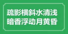 “疏影横斜水清浅，暗香浮动月黄昏”是什么意思_出处是哪里