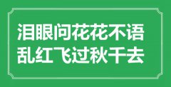 “泪眼问花花不语，乱红飞过秋千去”是什么意思_出处是哪里