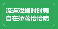“流连戏蝶时时舞，自在娇莺恰恰啼”是什么意思_出处是哪里